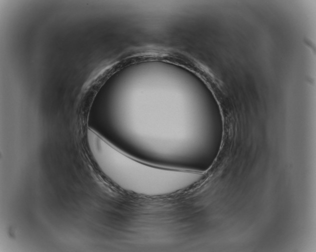 X0000097861448200803140845