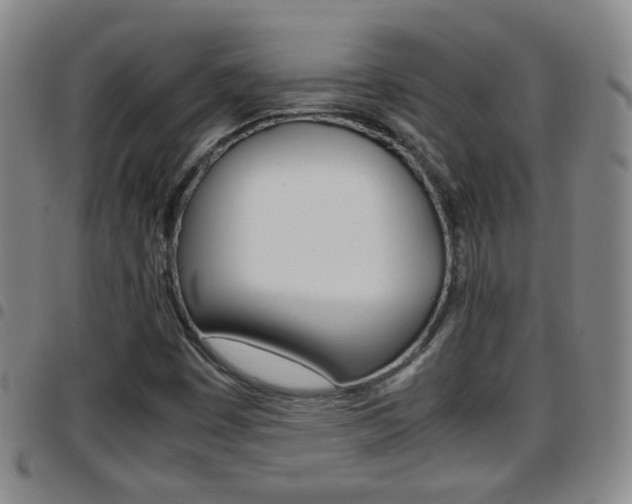 X0000097861449200803140845