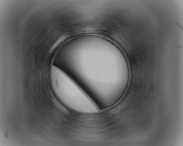 X0000097861450200803140845