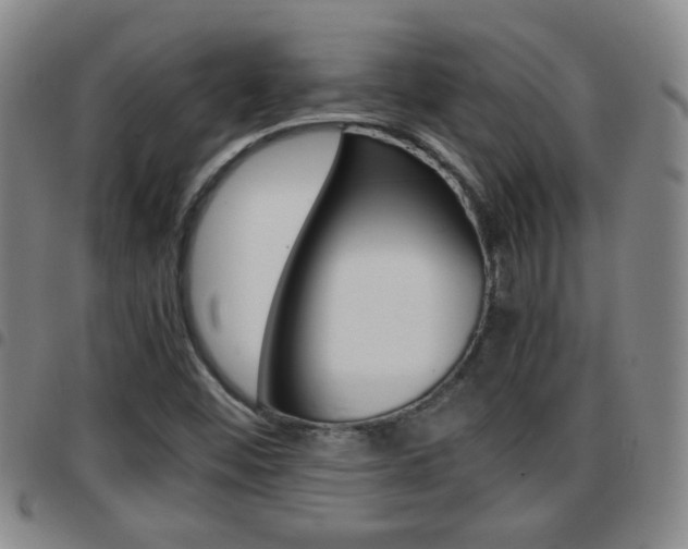 X0000097861452200803140845