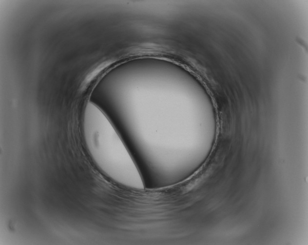 X0000097861453200803140845
