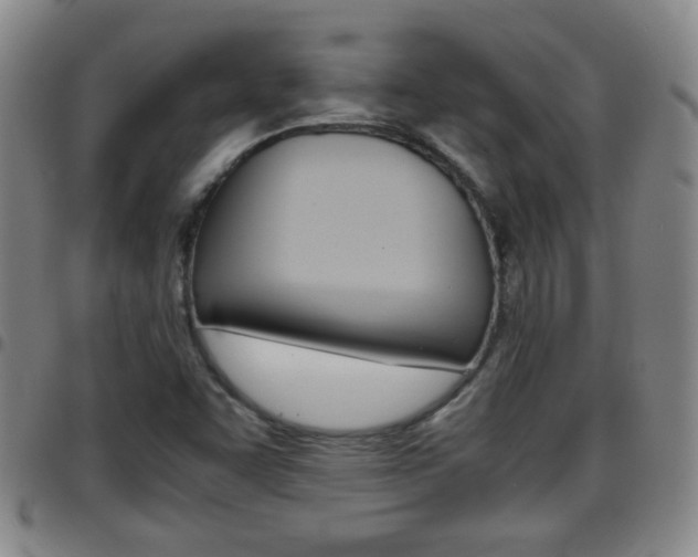 X0000097861455200803140845