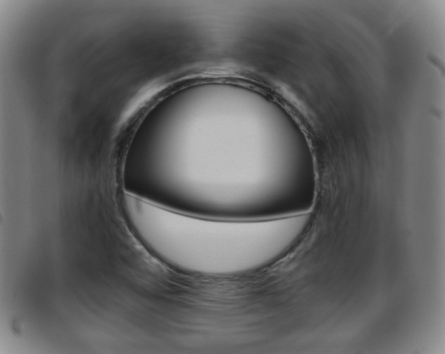 X0000097861456200803140845