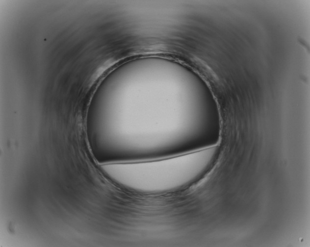X0000097861457200803140845