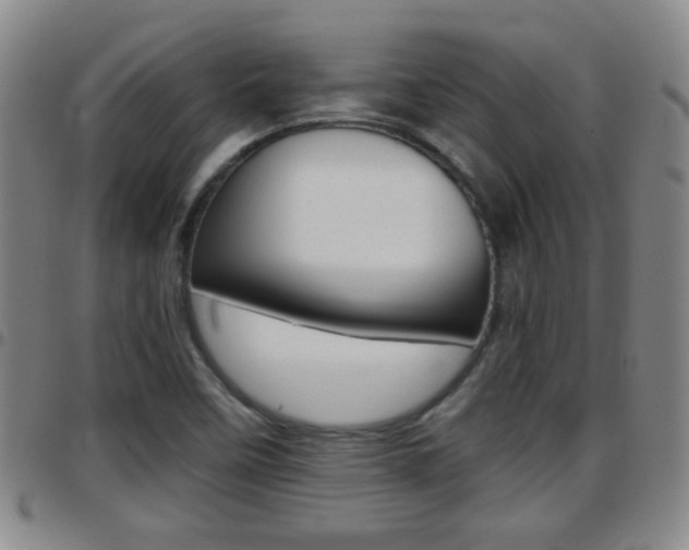X0000097861458200803140845