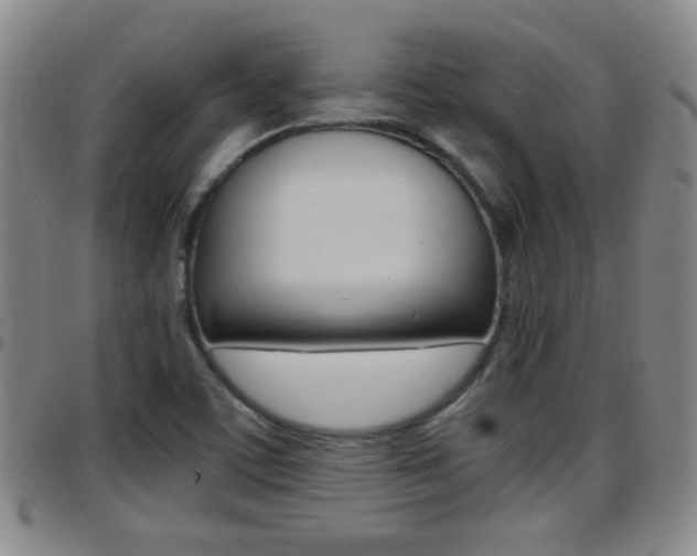 X0000097861459200803140845