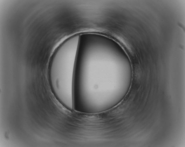 X0000097861460200803140845