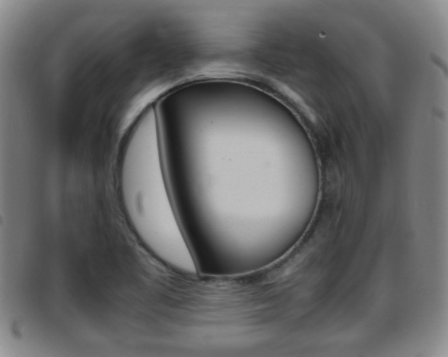 X0000097861461200803140845