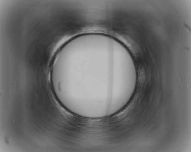X0000097861462200803140845