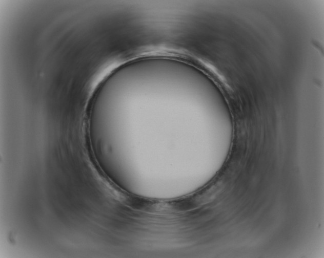 X0000097861463200803140845