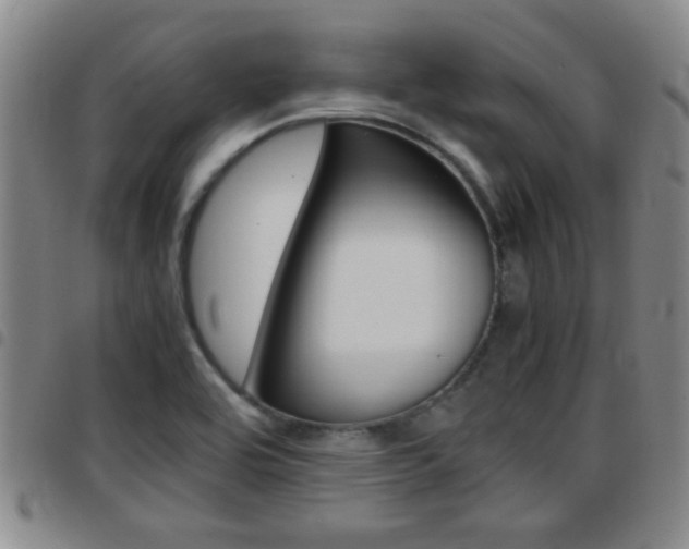 X0000097861464200803140845