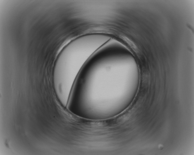 X0000097861465200803140845