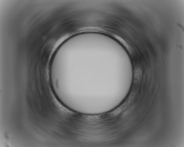 X0000097861466200803140845