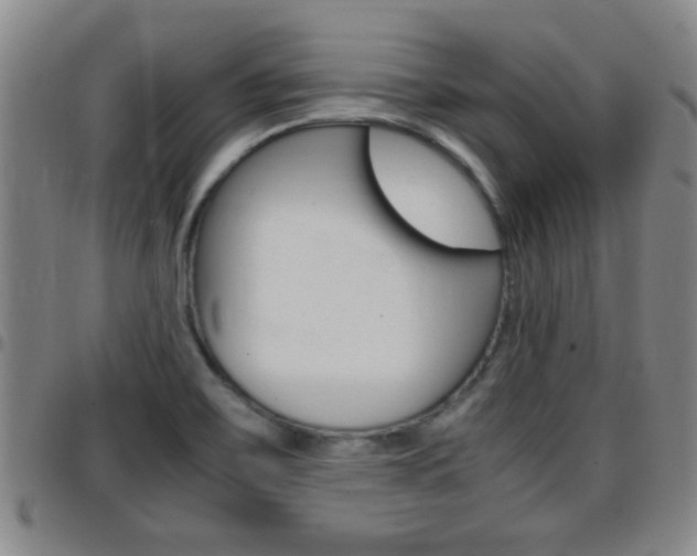 X0000097861467200803140845