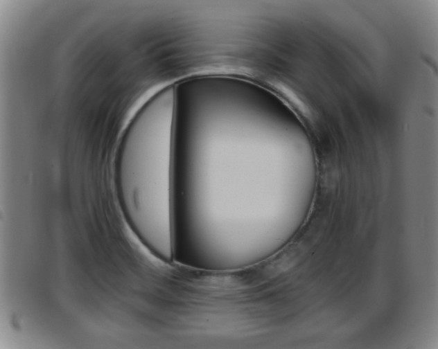 X0000097861468200803140845
