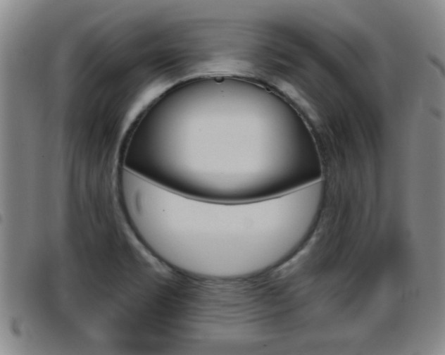 X0000097861469200803140845