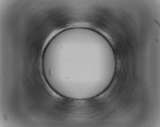 X0000097861470200803140845