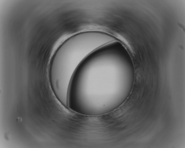 X0000097861472200803140845