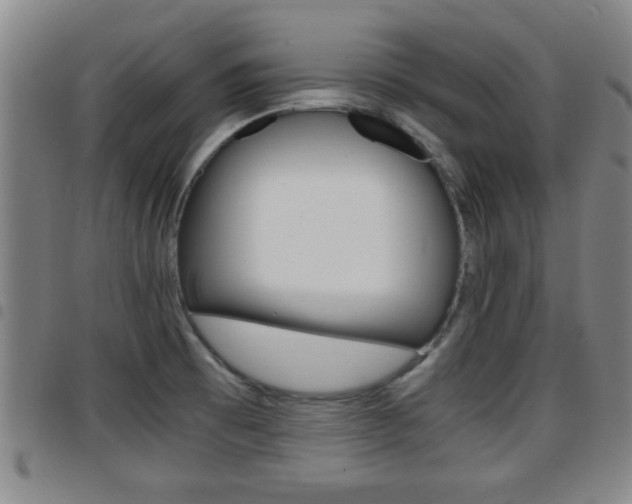 X0000097861473200803140845