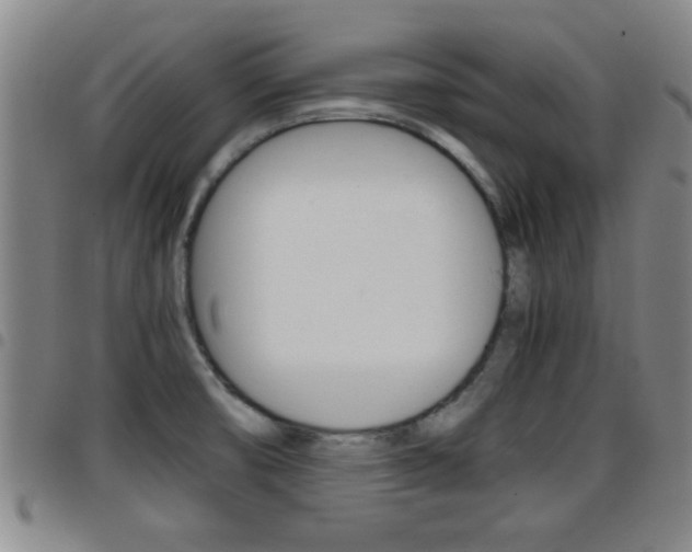 X0000097861474200803140845