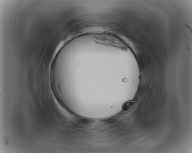 X0000097861475200803140845