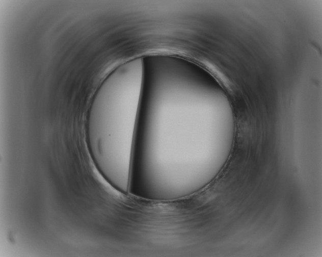 X0000097861476200803140845