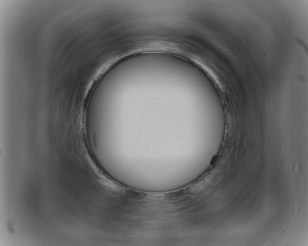 X0000097861477200803140845