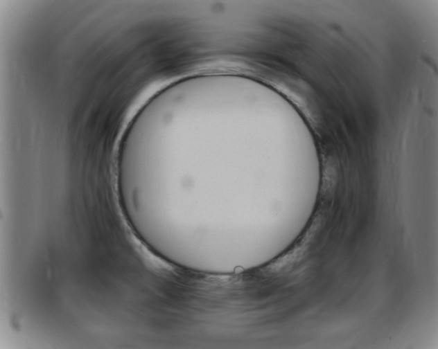 X0000097861478200803140845