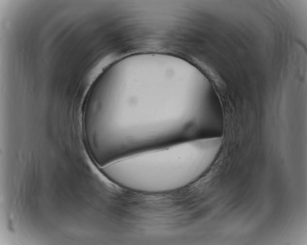X0000097861479200803140845