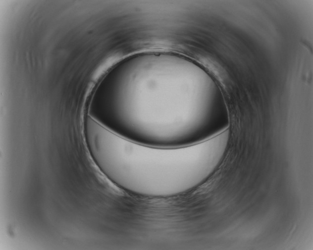 X0000097861480200803140845