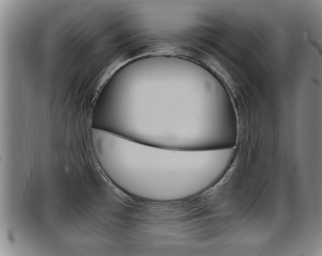X0000097861481200803140845