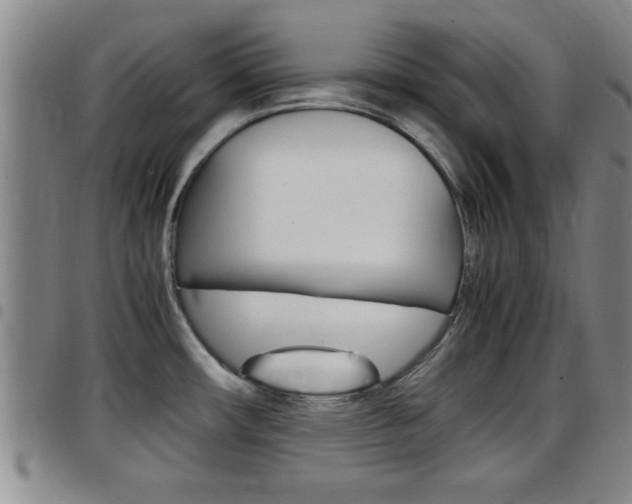 X0000097861482200803140845