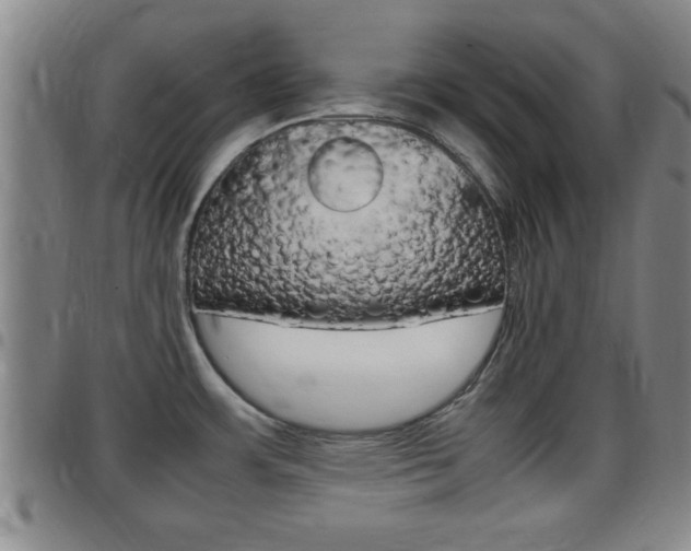 X0000097861483200803140845