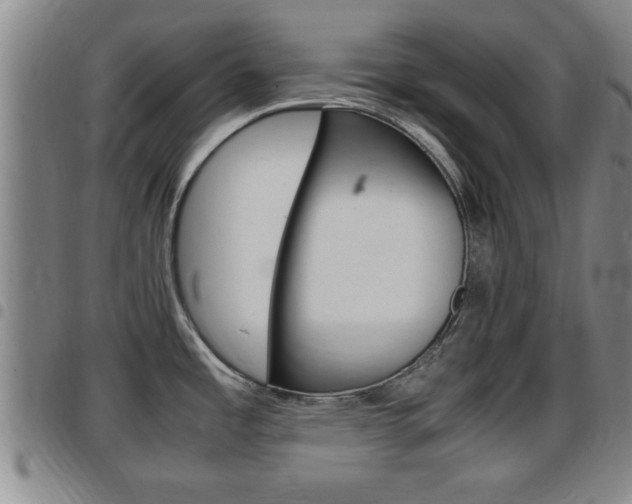 X0000097861485200803140845