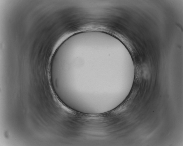 X0000097861486200803140845