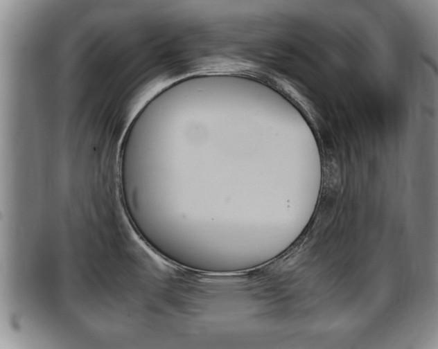 X0000097861487200803140845