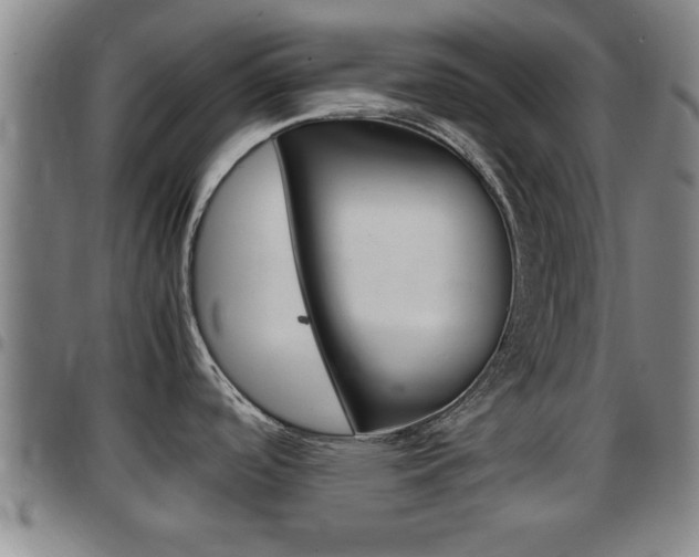X0000097861488200803140845