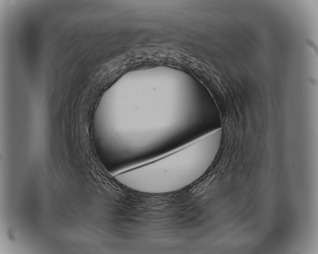 X0000097861489200803140844