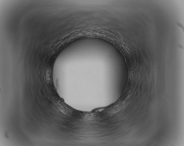X0000097861490200803140844
