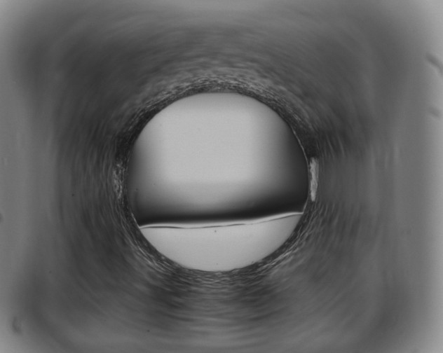 X0000097861491200803140844