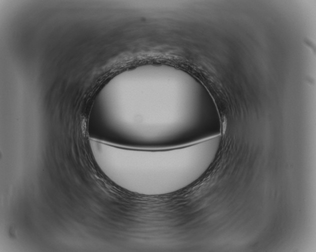 X0000097861492200803140844