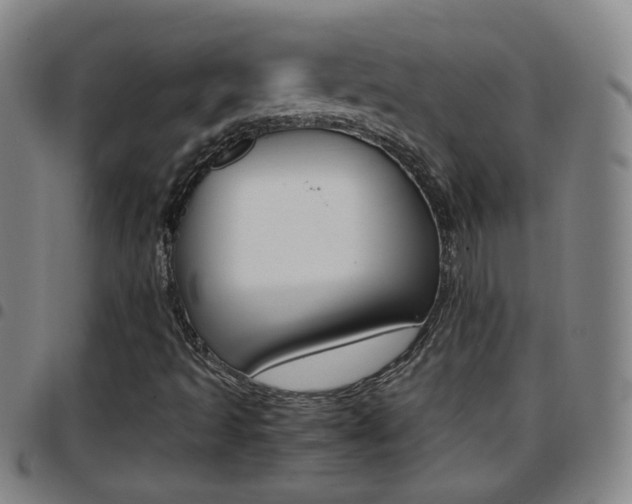 X0000097861493200803140844