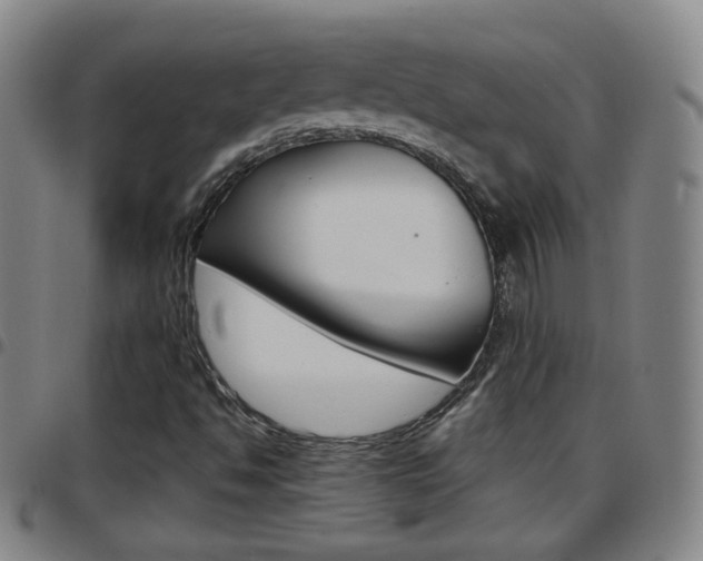 X0000097861494200803140844