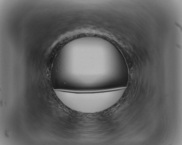 X0000097861495200803140844