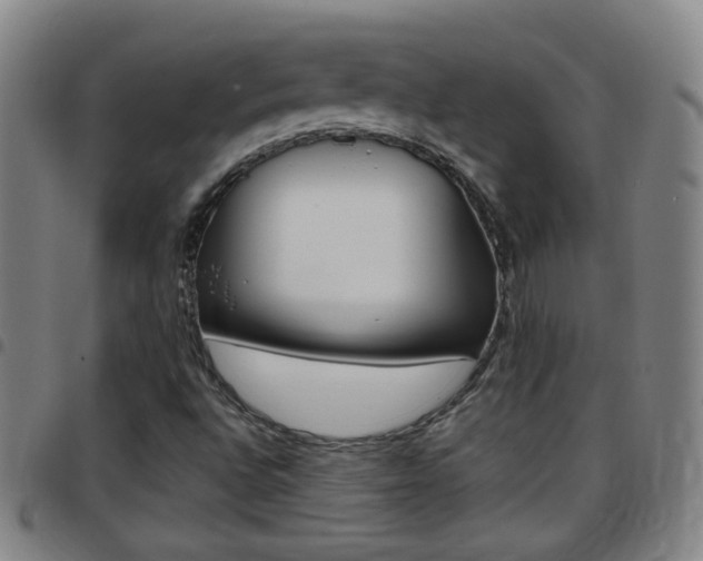 X0000097861496200803140844