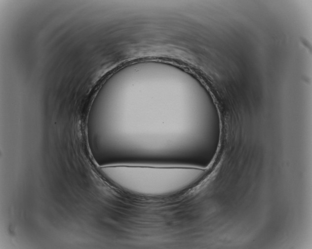 X0000097861497200803140844