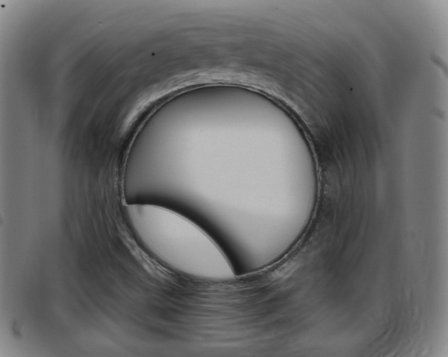 X0000097861499200803140844