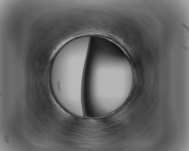 X0000097861500200803140844