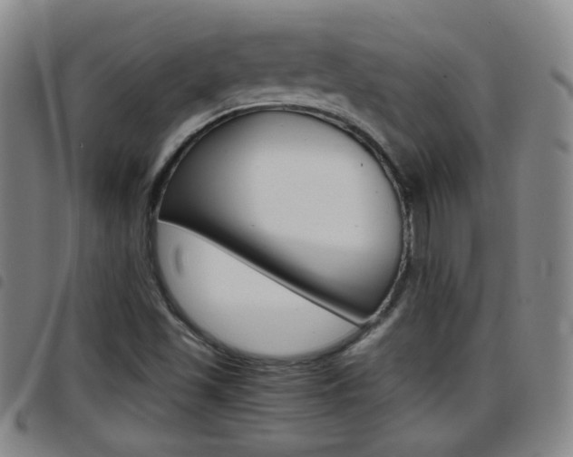 X0000097861501200803140844