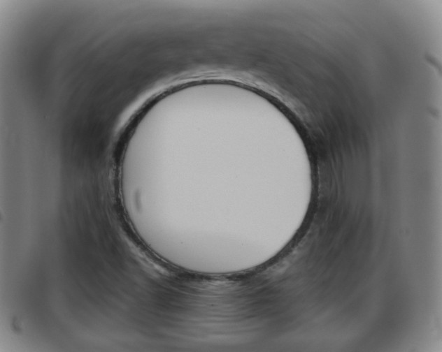 X0000097861502200803140844